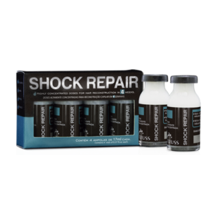 Shock Repair